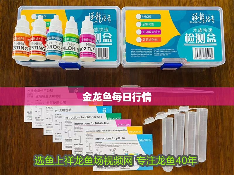 金龍魚每日行情 金龍魚每日行情 龍魚百科 第2張