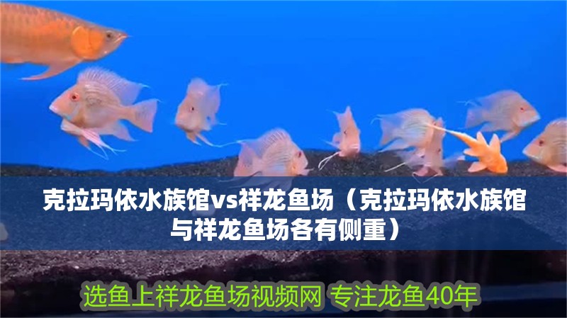 克拉瑪依水族館vs祥龍魚場（克拉瑪依水族館與祥龍魚場各有側重）