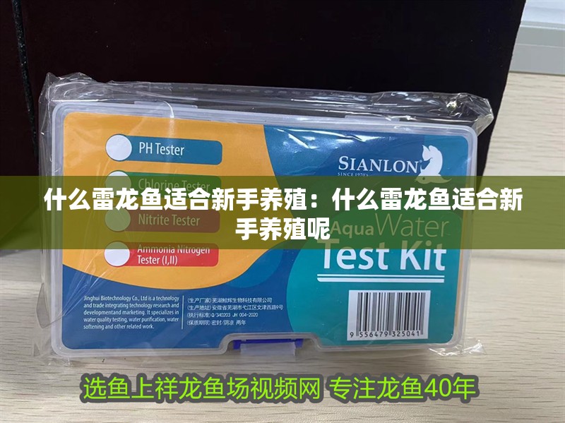什么雷龍魚適合新手養(yǎng)殖：什么雷龍魚適合新手養(yǎng)殖呢