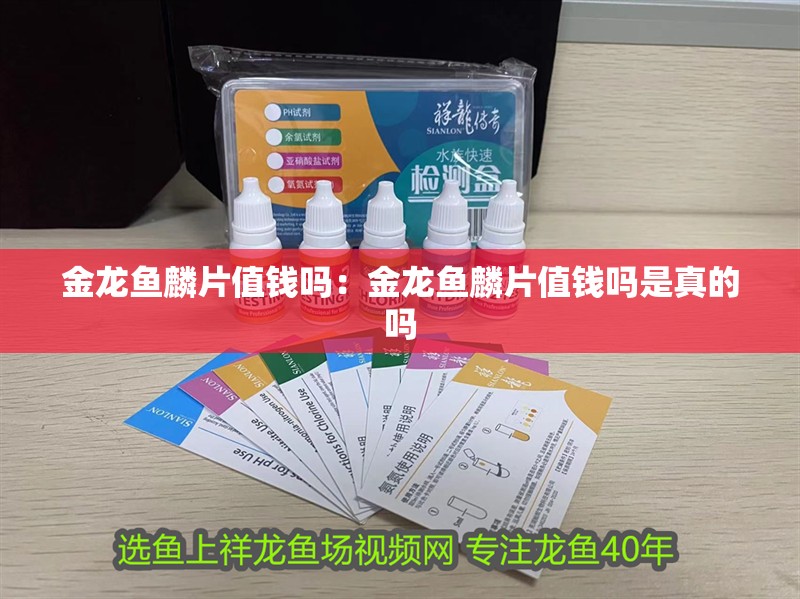 金龍魚麟片值錢嗎：金龍魚麟片值錢嗎是真的嗎