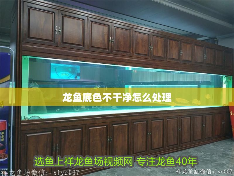 龍魚底色不干凈怎么處理