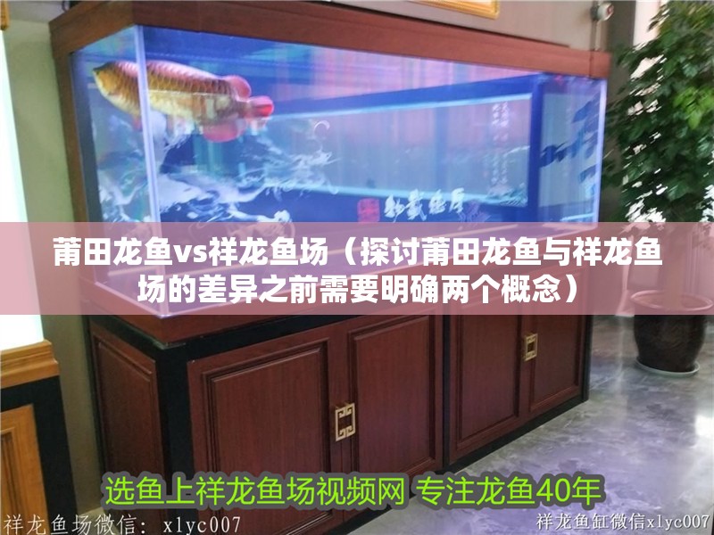 莆田龍魚vs祥龍魚場（探討莆田龍魚與祥龍魚場的差異之前需要明確兩個概念）