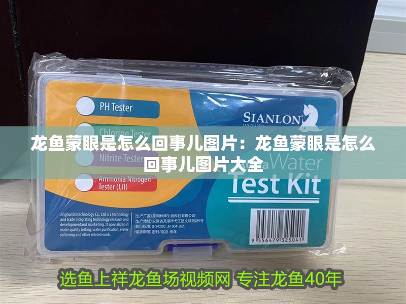 龍魚蒙眼是怎么回事兒圖片：龍魚蒙眼是怎么回事兒圖片大全