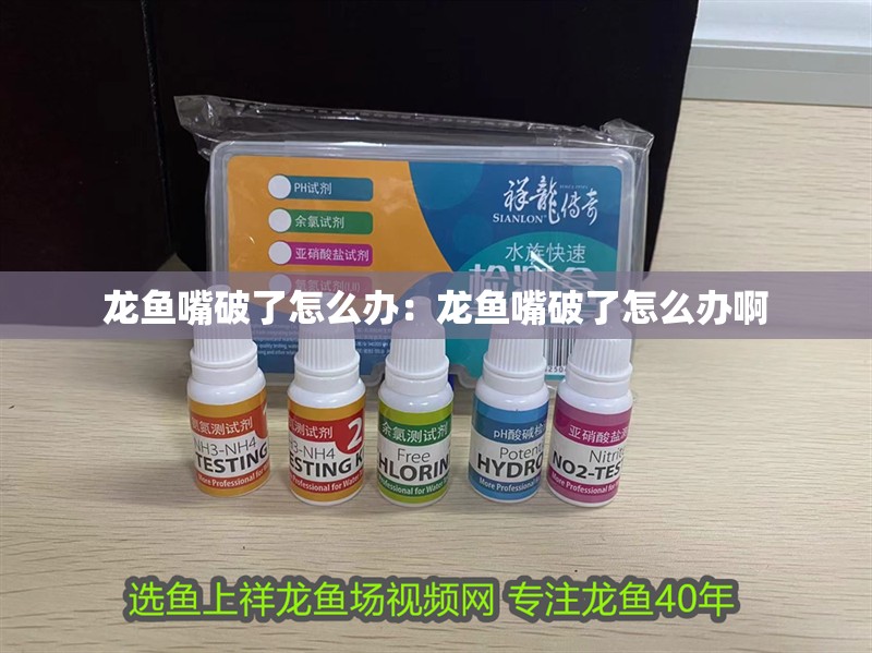 龍魚嘴破了怎么辦：龍魚嘴破了怎么辦啊