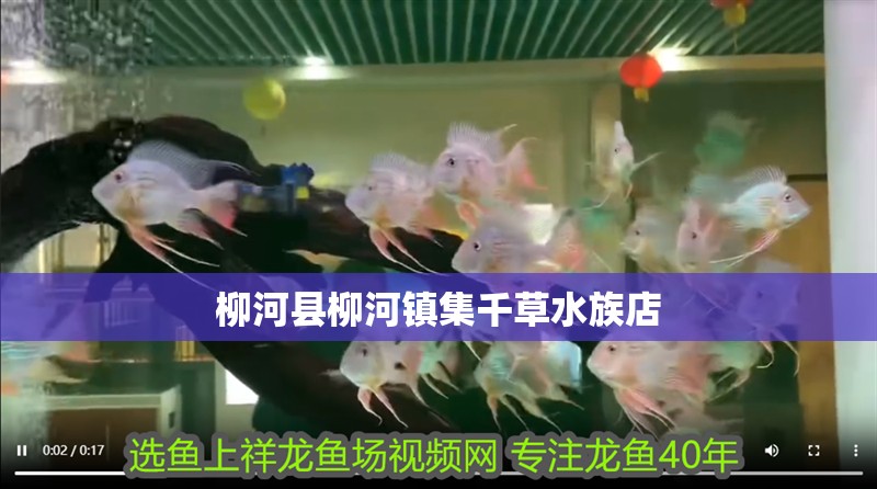 柳河縣柳河鎮集千草水族店