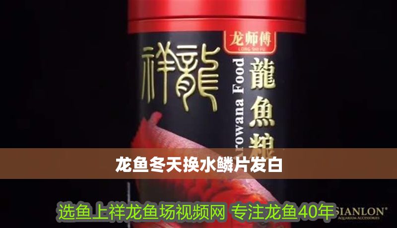 龍魚冬天換水鱗片發(fā)白