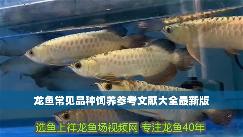 龍魚常見品種飼養參考文獻大全最新版