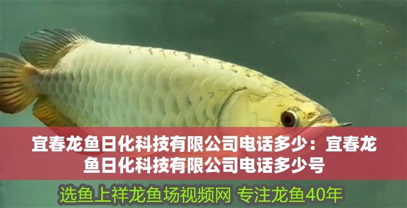 宜春龍魚日化科技有限公司電話多少：宜春龍魚日化科技有限公司電話多少號