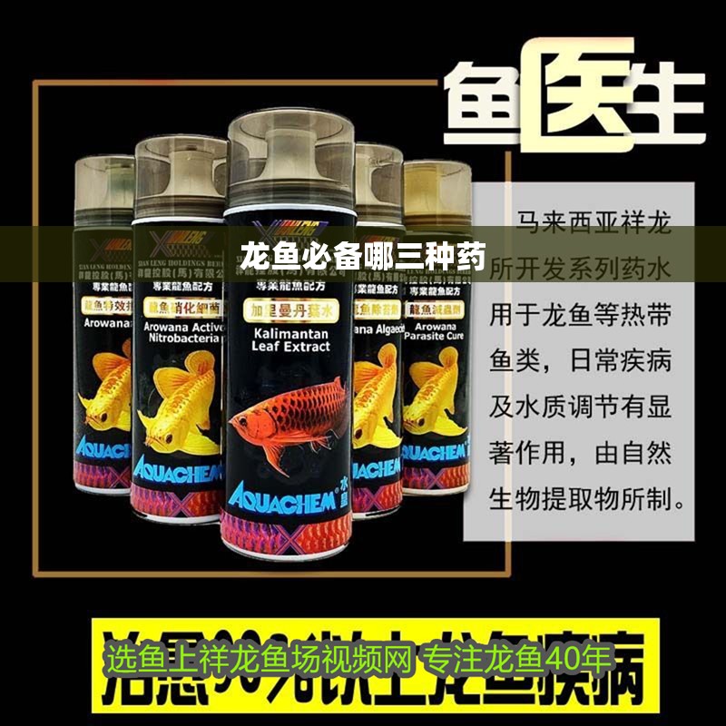 龍魚必備哪三種藥