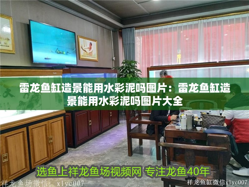 雷龍魚缸造景能用水彩泥嗎圖片：雷龍魚缸造景能用水彩泥嗎圖片大全