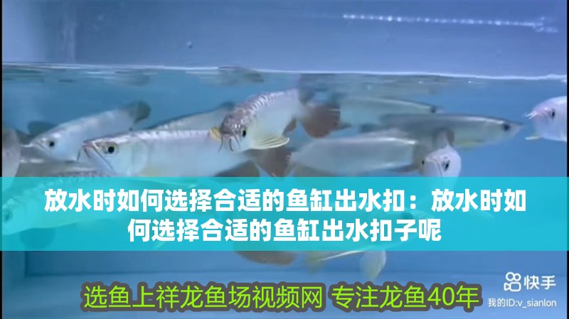放水時如何選擇合適的魚缸出水扣：放水時如何選擇合適的魚缸出水扣子呢