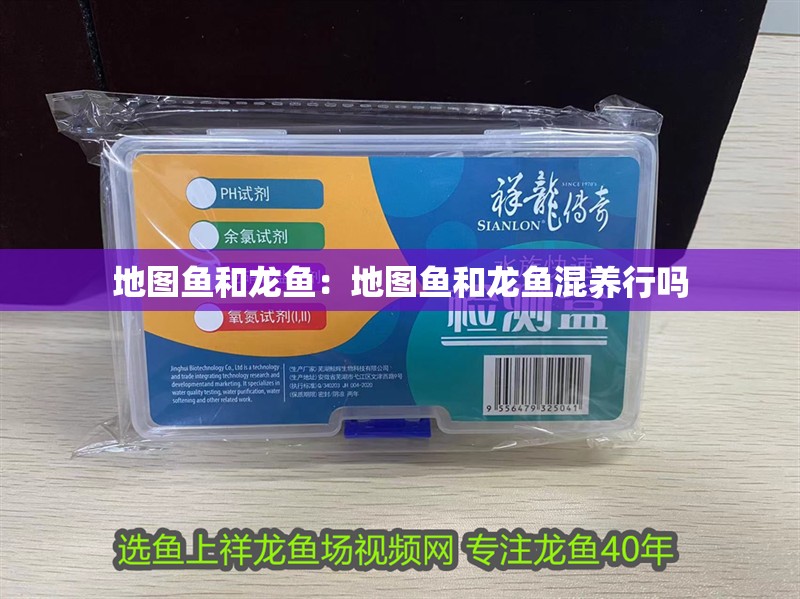 地圖魚(yú)和龍魚(yú)：地圖魚(yú)和龍魚(yú)混養(yǎng)行嗎