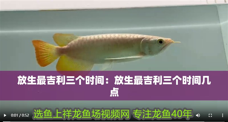 放生最吉利三個時間：放生最吉利三個時間幾點