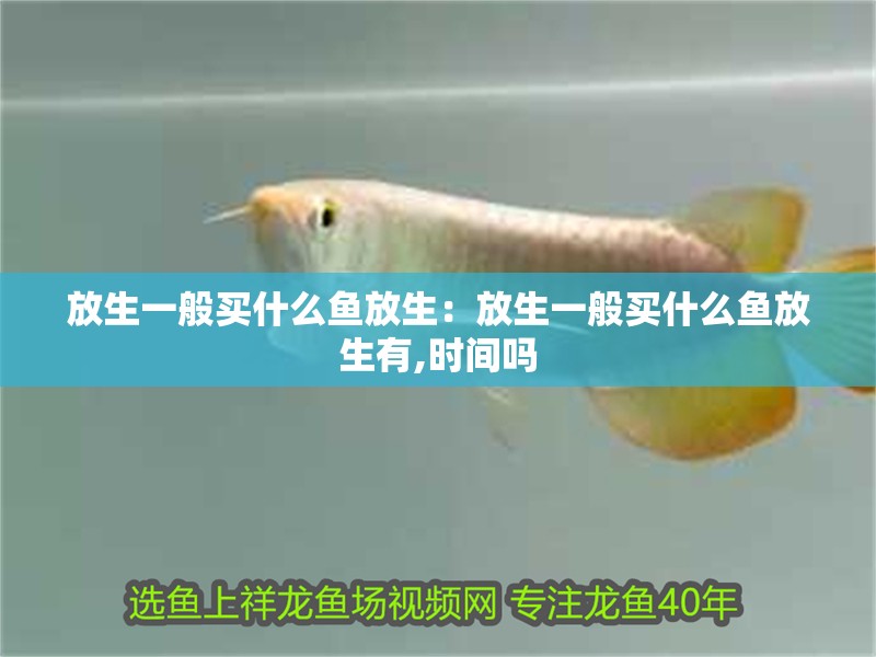 放生一般買什么魚放生：放生一般買什么魚放生有,時間嗎
