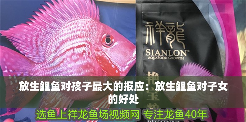 放生鯉魚對孩子最大的報應：放生鯉魚對子女的好處