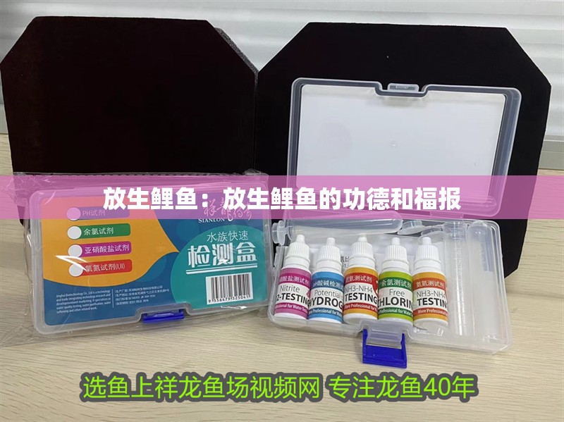 放生鯉魚：放生鯉魚的功德和福報