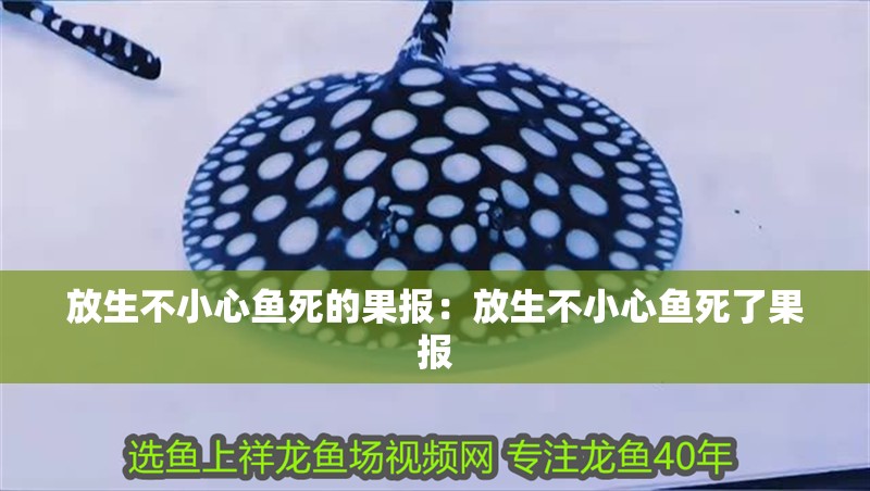 放生不小心魚死的果報：放生不小心魚死了果報