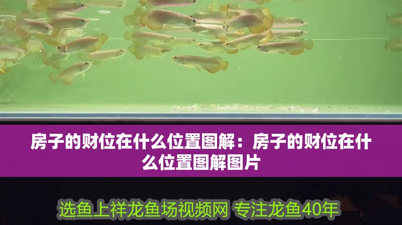 房子的財位在什么位置圖解：房子的財位在什么位置圖解圖片