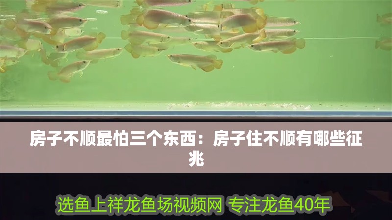 房子不順最怕三個東西：房子住不順有哪些征兆