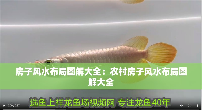 房子風水布局圖解大全：農村房子風水布局圖解大全