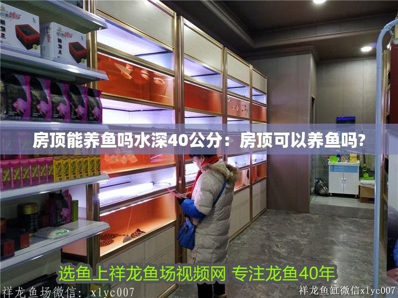 房頂能養魚嗎水深40公分：房頂可以養魚嗎?