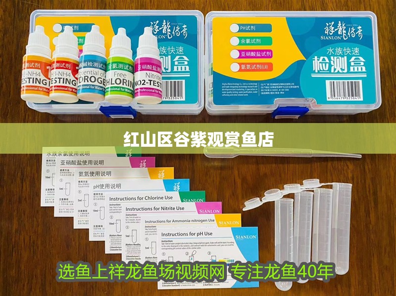 紅山區谷紫觀賞魚店