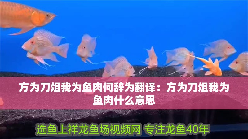 方為刀俎我為魚肉何辭為翻譯：方為刀俎我為魚肉什么意思