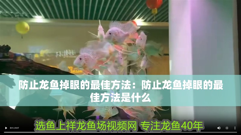 防止龍魚掉眼的最佳方法：防止龍魚掉眼的最佳方法是什么