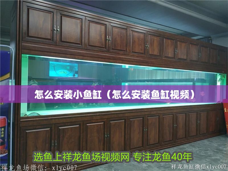 怎么安裝小魚缸（怎么安裝魚缸視頻）
