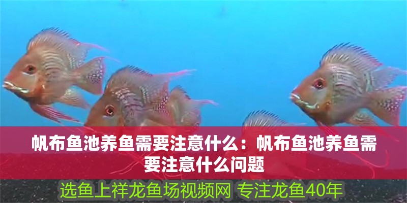 帆布魚池養魚需要注意什么：帆布魚池養魚需要注意什么問題