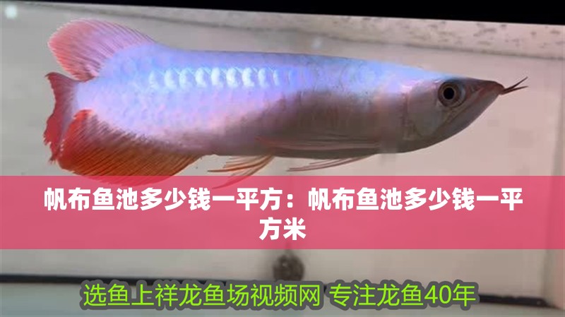 帆布魚池多少錢一平方：帆布魚池多少錢一平方米