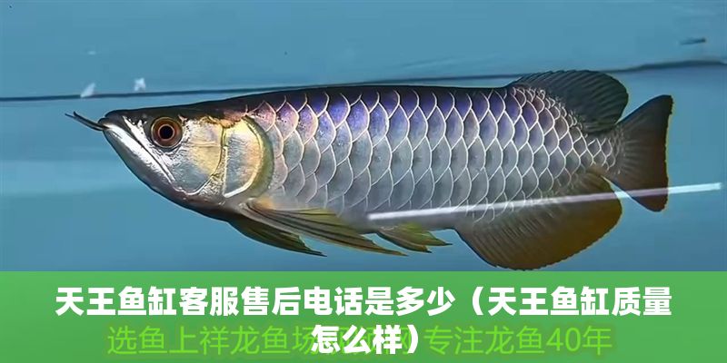 天王魚缸客服售后電話是多少（天王魚缸質(zhì)量怎么樣）