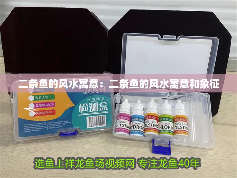 二條魚的風(fēng)水寓意：二條魚的風(fēng)水寓意和象征