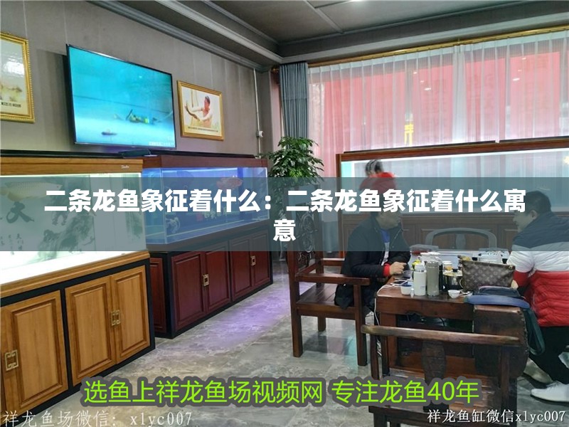 二條龍魚象征著什么:二條龍魚象征著什么寓意