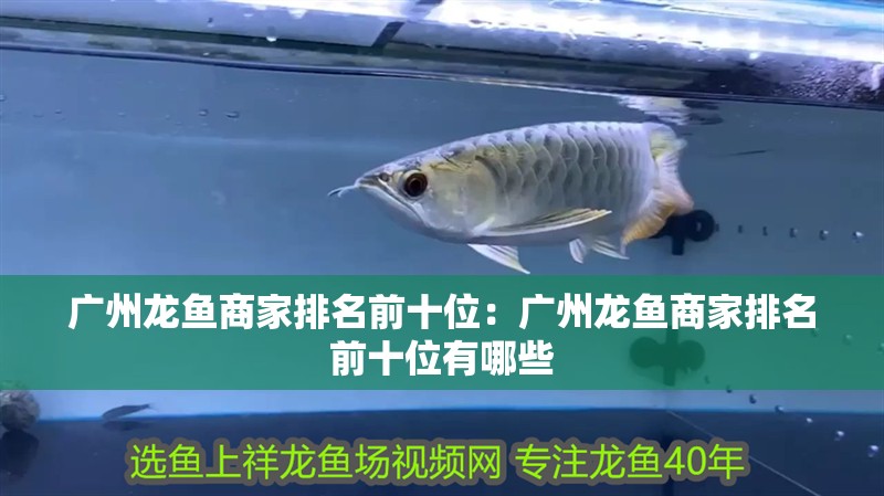 廣州龍魚商家排名前十位：廣州龍魚商家排名前十位有哪些