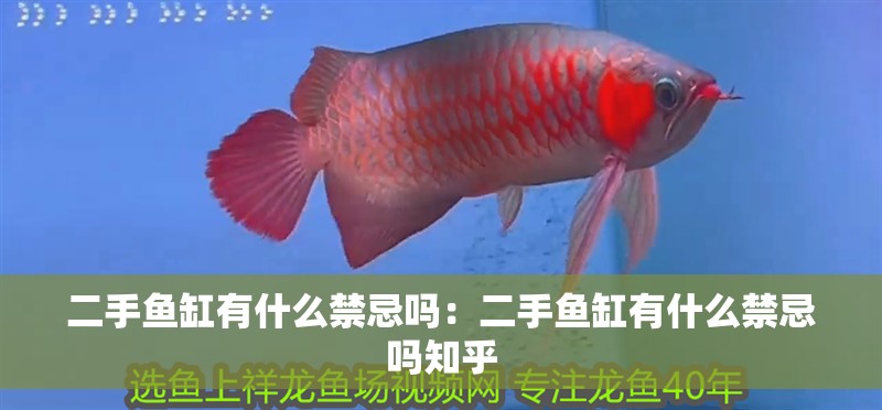 二手魚缸有什么禁忌嗎：二手魚缸有什么禁忌嗎知乎