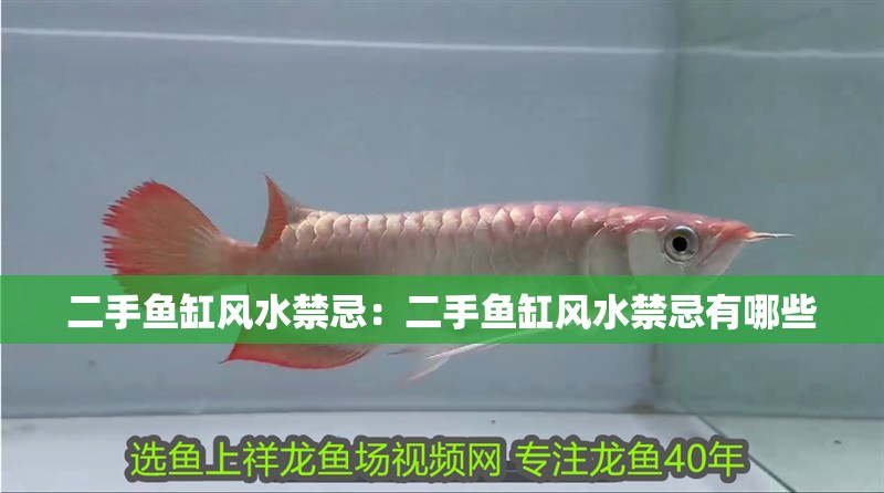 二手魚缸風(fēng)水禁忌：二手魚缸風(fēng)水禁忌有哪些