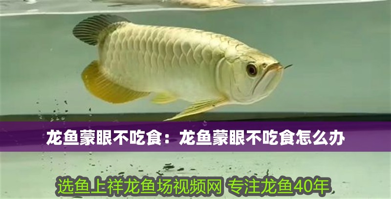 龍魚蒙眼不吃食：龍魚蒙眼不吃食怎么辦