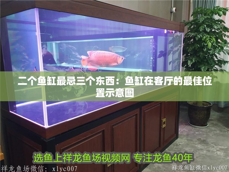 二個魚缸最忌三個東西:魚缸在客廳的最佳位置示意圖