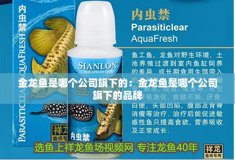 金龍魚是哪個公司旗下的：金龍魚是哪個公司旗下的品牌