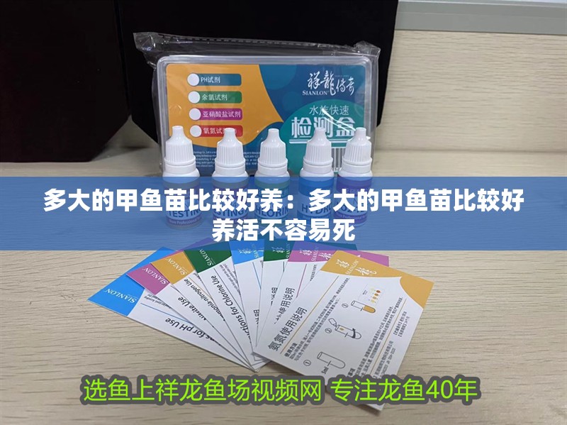 多大的甲魚苗比較好養(yǎng)：多大的甲魚苗比較好養(yǎng)活不容易死