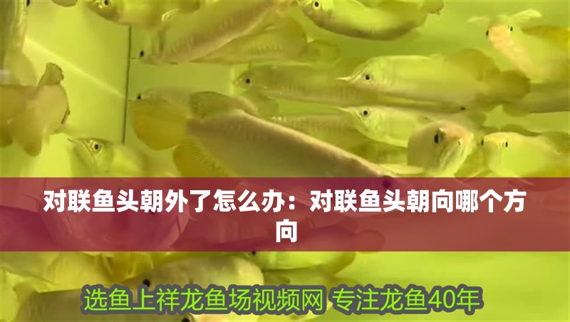 對聯(lián)魚頭朝外了怎么辦：對聯(lián)魚頭朝向哪個方向