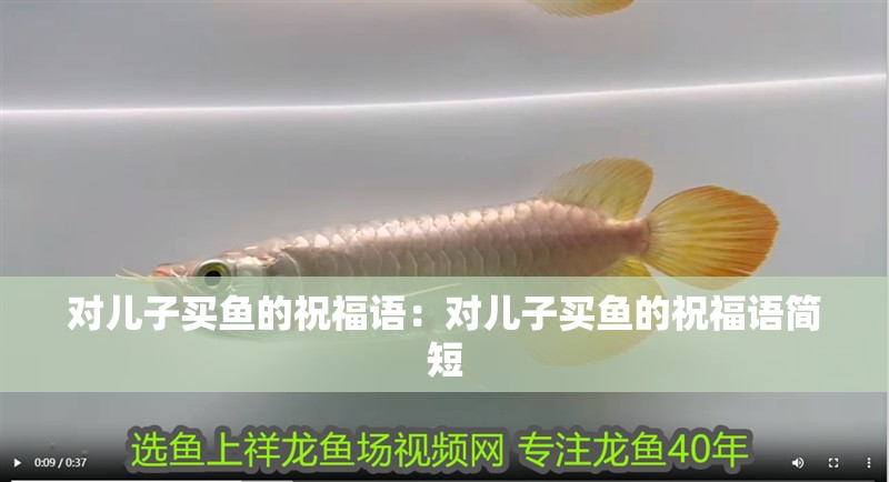 對兒子買魚的祝福語：對兒子買魚的祝福語簡短