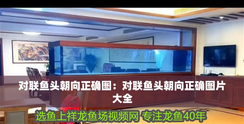 對聯魚頭朝向正確圖：對聯魚頭朝向正確圖片大全