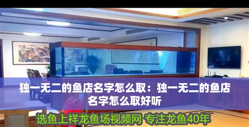 獨一無二的魚店名字怎么取：獨一無二的魚店名字怎么取好聽