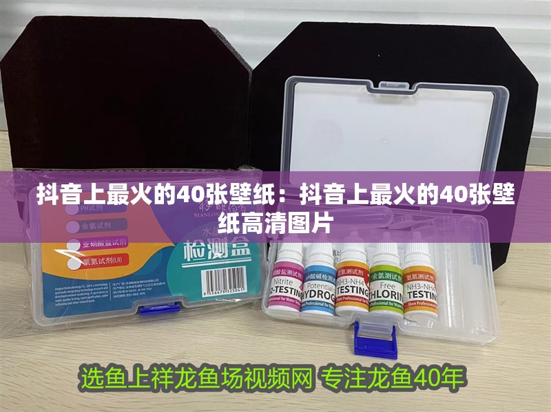 抖音上最火的40張壁紙：抖音上最火的40張壁紙高清圖片