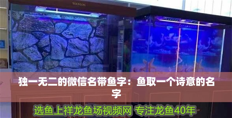 獨一無二的微信名帶魚字：魚取一個詩意的名字