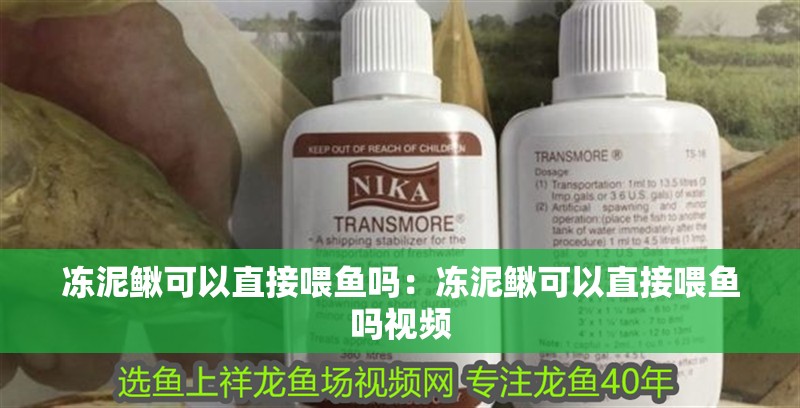 凍泥鰍可以直接喂魚嗎：凍泥鰍可以直接喂魚嗎視頻