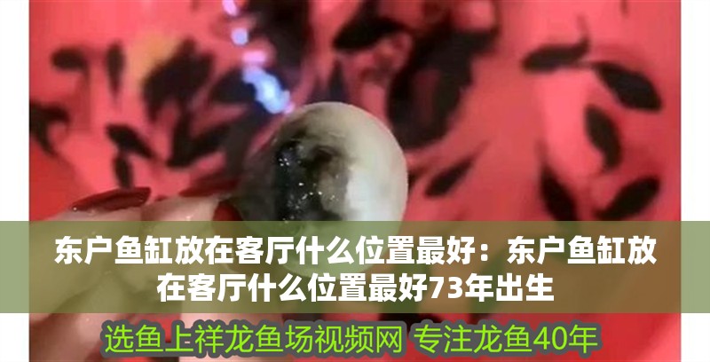 東戶魚缸放在客廳什么位置最好：東戶魚缸放在客廳什么位置最好73年出生