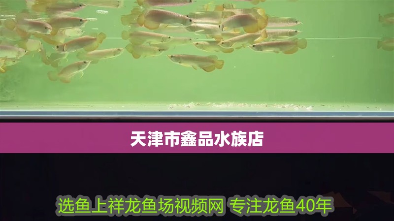 天津市鑫品水族店